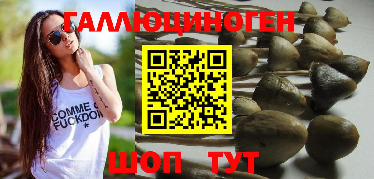 Отрадный  Псилоцибиновые грибы ЛСД  Галлюциногенные грибы GOLDEN TEACHER  Вход с VPN 